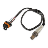 Holley EFI- 554-101 LSU4 Bosch Wideband
