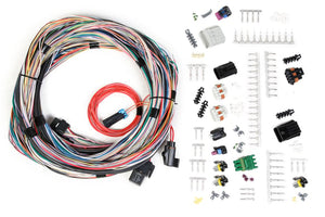 Holley EFI- 558-105 Unterminated Main Harness