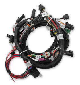 Holley EFI 558-510 Ford Coyote Ti-VCT Harness Kit