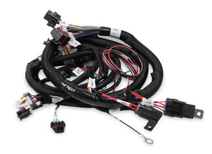 Holley EFI- 558-111 Main Engine Harness for 24X LS w/TBI