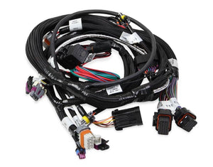 Holley EFI- 558-112 Main Engine Harness for 58X LS w/TBI