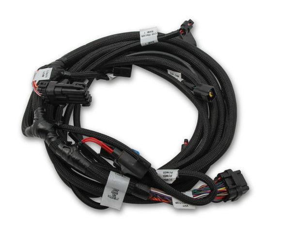 Holley EFI- 558-124 Ford Coyote Ti-VCT Sub Harness (11-12)