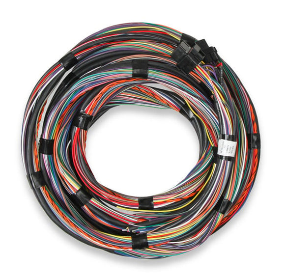 Holley 558-126 Unterminated Flying Lead Main Harness