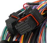 Holley 558-126 Unterminated Flying Lead Main Harness