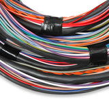 Holley 558-126 Unterminated Flying Lead Main Harness