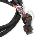 Holley EFI 558-219 Injector Driver Harness