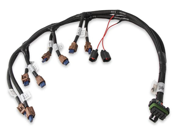 Ford Coyote Ti-VCT Coil Harness (2015.5-2017)