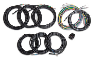 Holley EFI- 558-435 Unterminated Vehicle Harness For Digital Dash