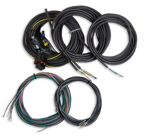 Holley EFI 558-436 Terminated Vehicle Harness For Digital Dash