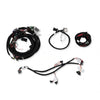 Holley EFI- 558-513 Harness Kit - Ford Foxbody 5.0L V8 W/Tfi