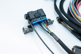8HP Holley EFI Interface *Pre-order*