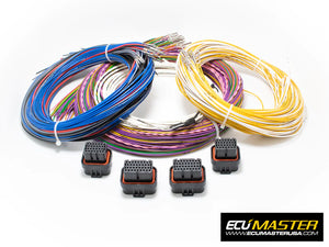 ECUMaster Printed Flying Lead Harness for EMU Pro-16