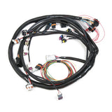 Holley Universal MPFI Main Harness 558-104